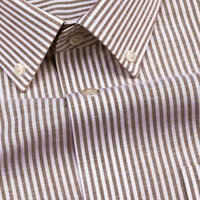 New Brown Stripe Down Button Oxford Cotton Shirt